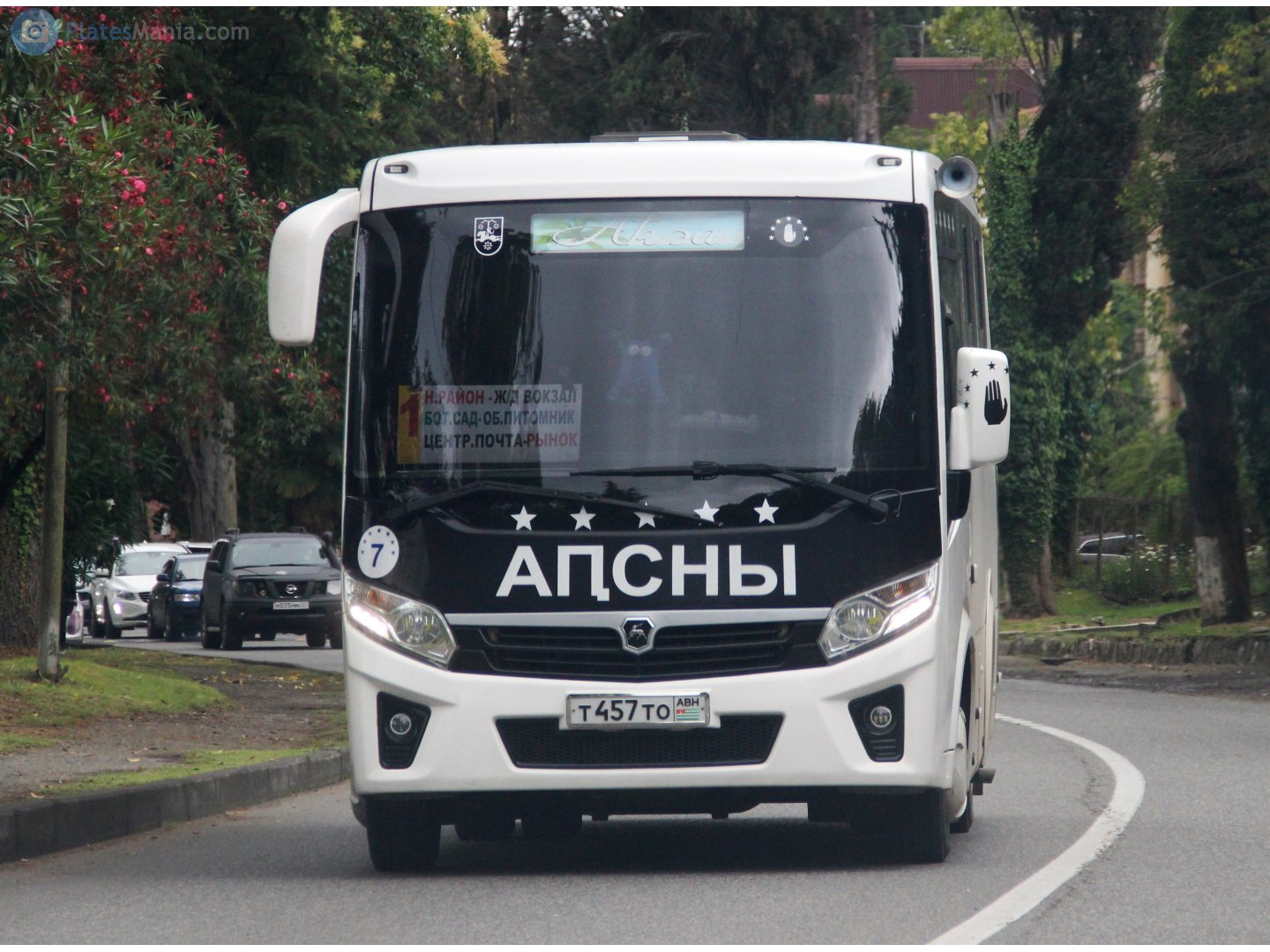 т 457 то, PAZ 3203/3204 3204 Vector Next, 2016–