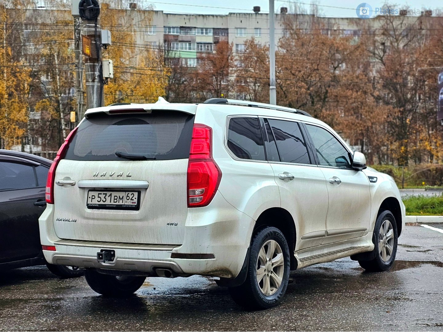 р 531 вм 62, Haval H9 1st gen, 2014–2024