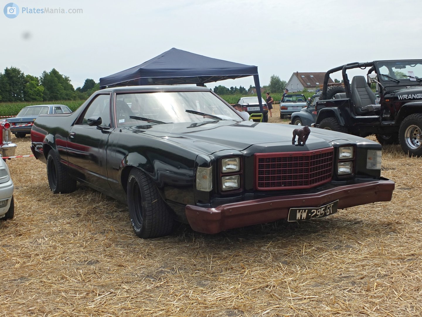 WW-295-GT, Ford Ranchero 7th gen (97), 1976–1979