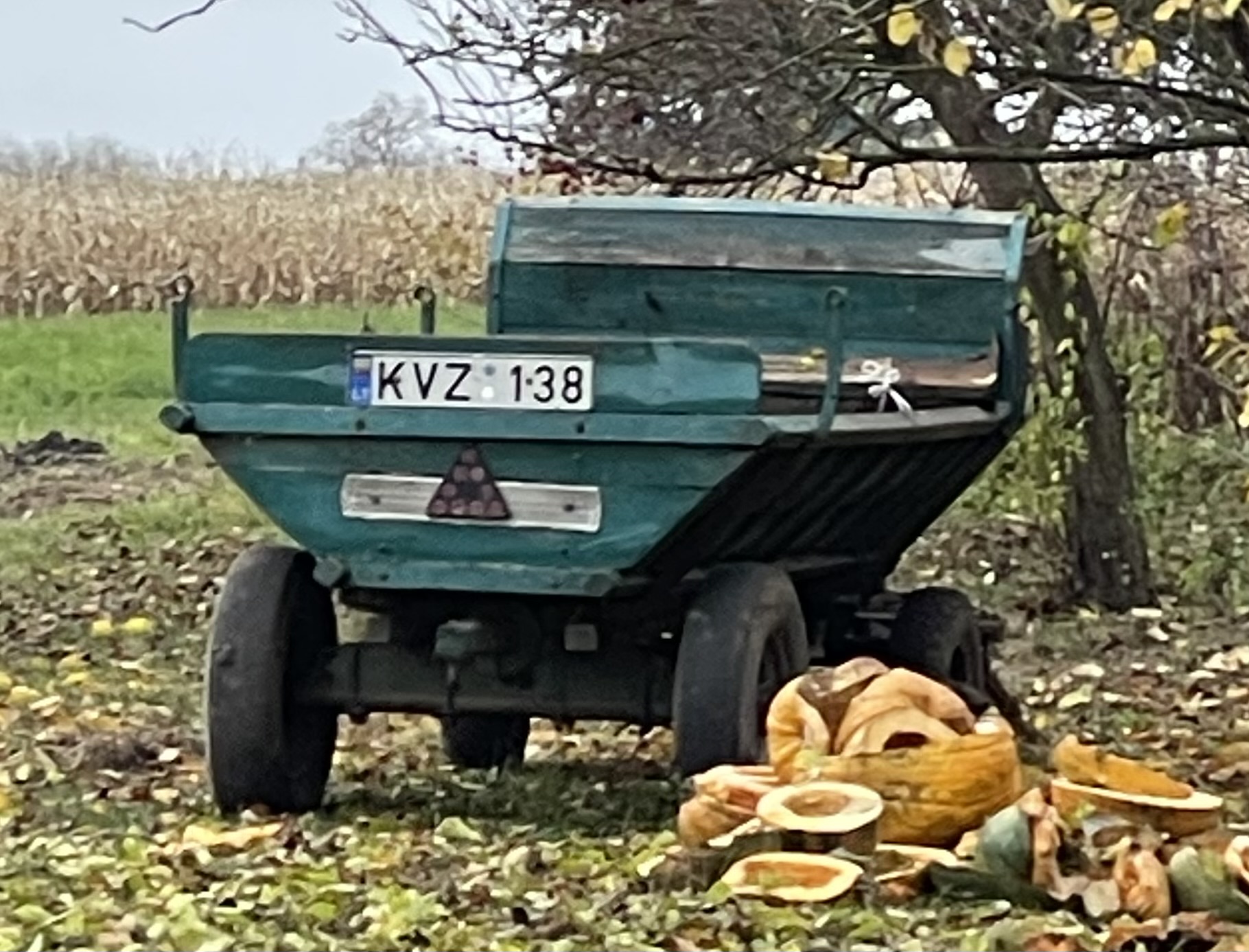 KVZ 138, License plate without vehicle 