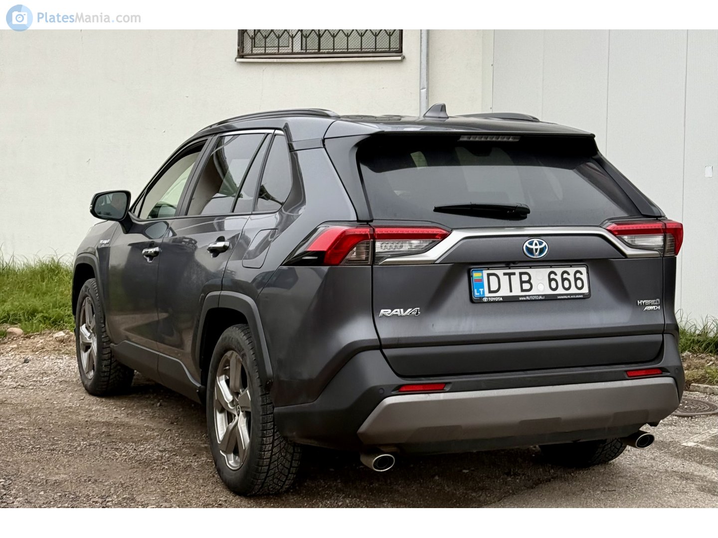 DTB 666, Toyota RAV4 5th gen (XA50), 2018–