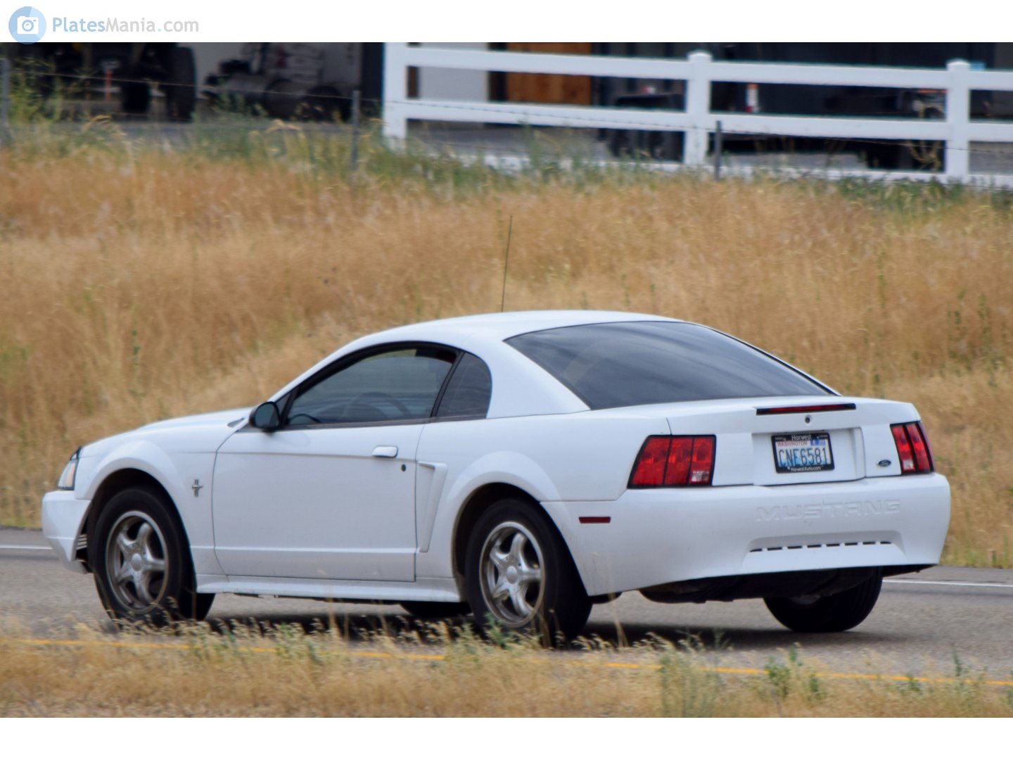 CNE6581, Ford Mustang 4th gen 2-door Coupé (SN95), facelift, 1998–2004