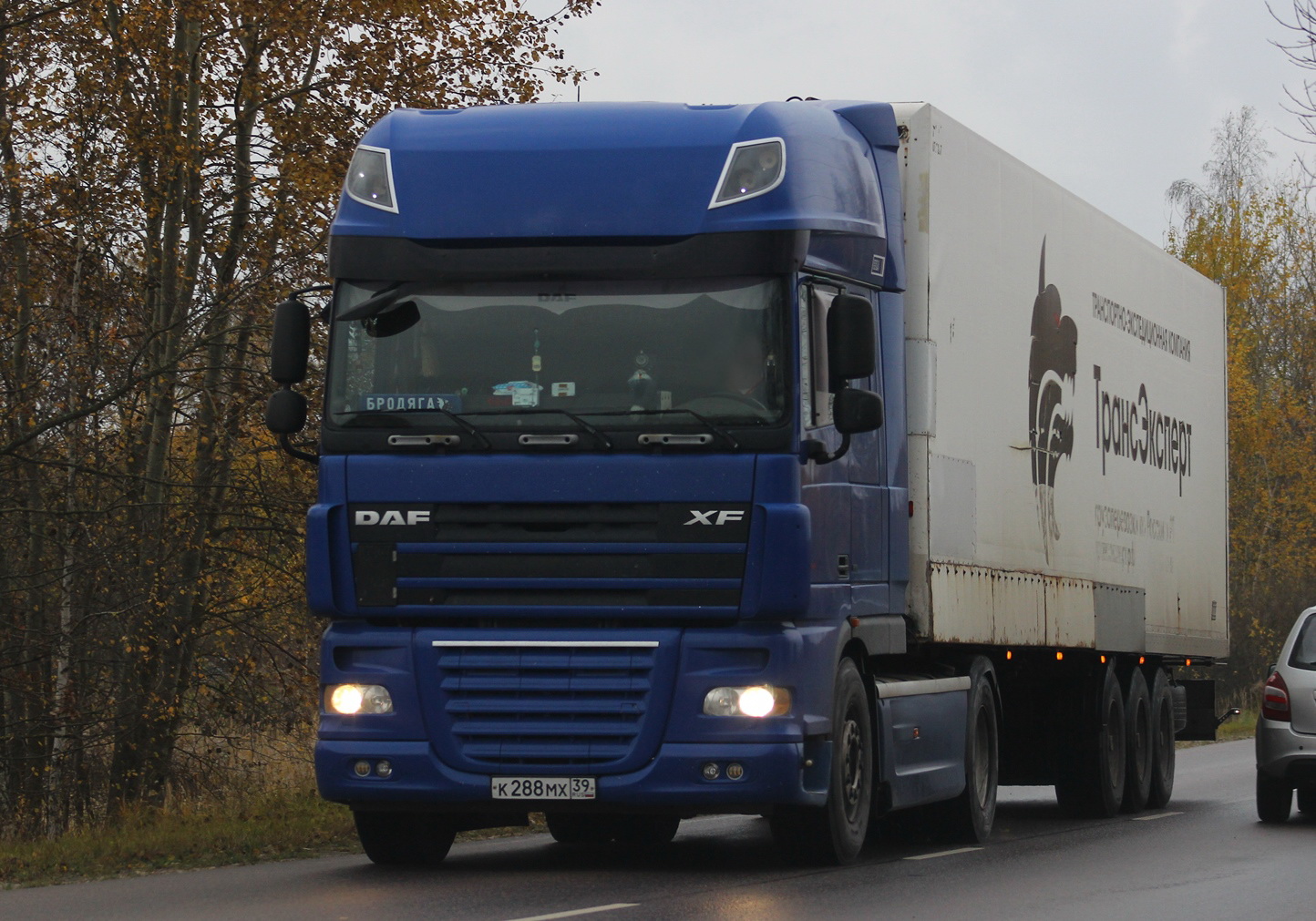 к 288 мх 39, DAF XF 
