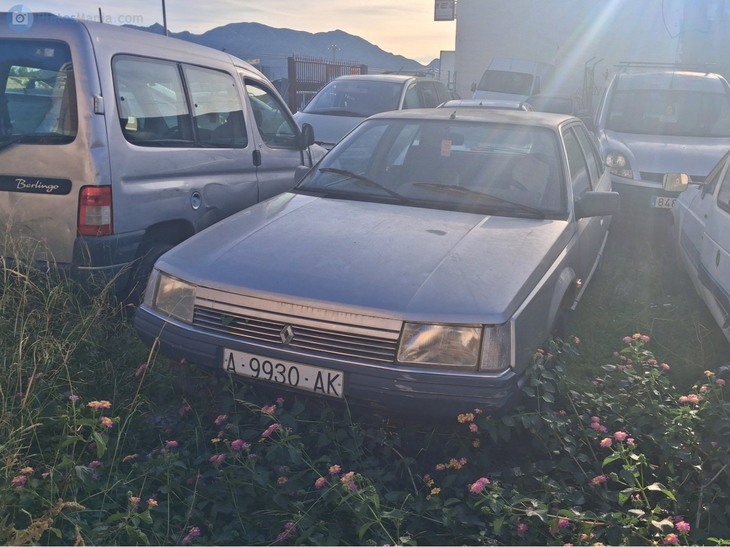 A 9930 AK, Renault 25 1st gen (B29), 1984–1988