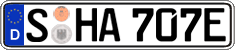 German license plate, Electric vehicles