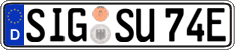 German license plate, Electric vehicles