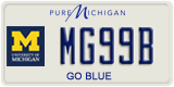 Michigan, Specialty plates (AB12C)