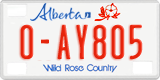 Alberta, Rental cars (X-AB123)