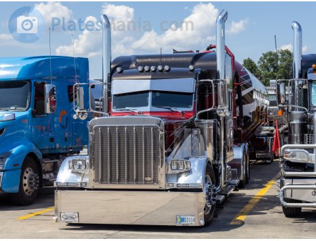 3013314, Peterbilt 379