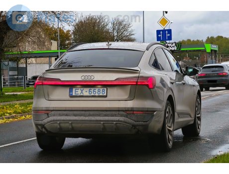 EX-6688, Audi Q8