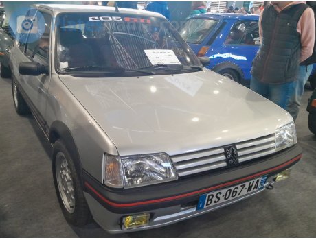BS-067-WA, Peugeot 205
