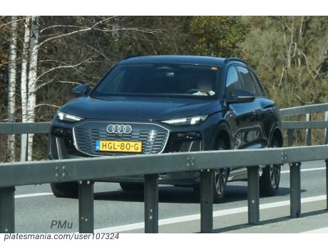 HGL-80-G, Audi Q6/SQ6