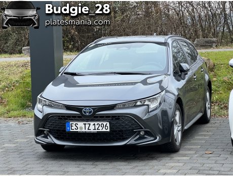 ES TZ 1296, Toyota Corolla