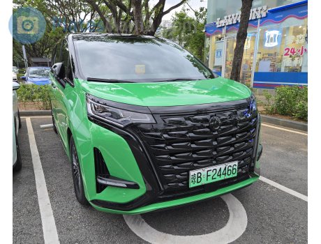 琼B·F24466, Denza (Tengshi) D9