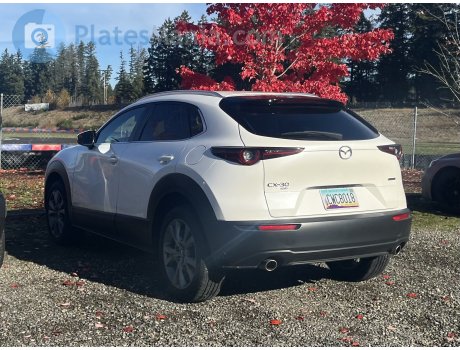 CWC8018, Mazda CX-30