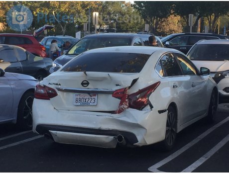 8BOX223, Nissan Altima