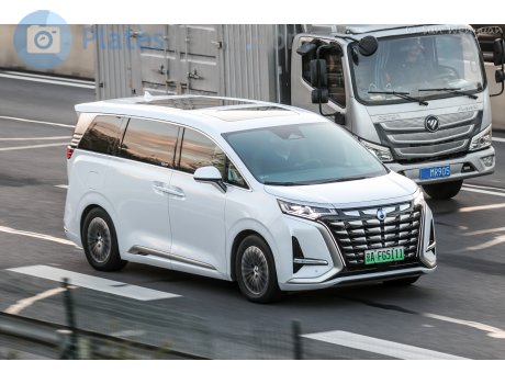 京A·FG5111, Denza (Tengshi) D9