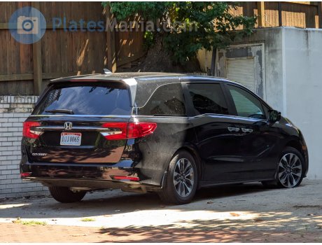 DJJ 0065, Honda Odyssey