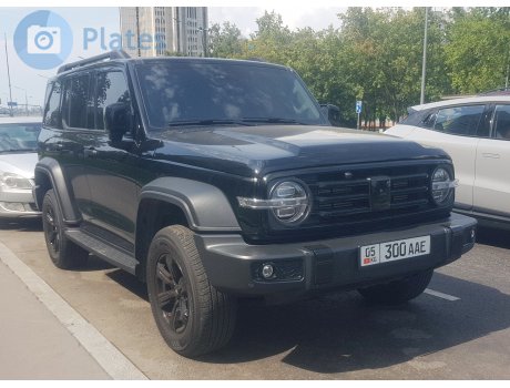 05 300 AAE, Tank 300