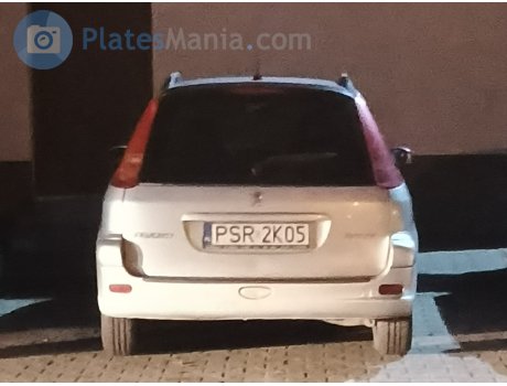 PSR 2K05, Peugeot 206