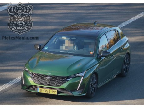 R-055-PP, Peugeot 308