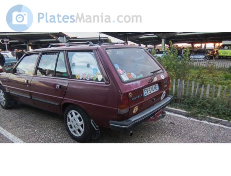 EX-914-HE, Peugeot 305