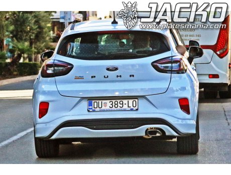 DU 389-LO, Ford Puma