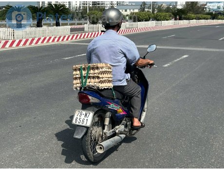 79-N7 6561, Suzuki Smash