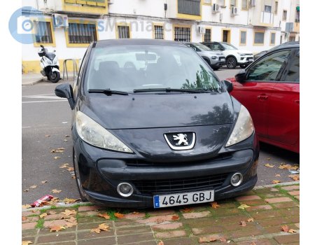 4645 GBJ, Peugeot 207