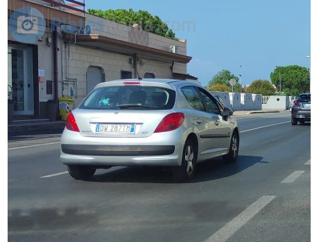 DW 287 TM, Peugeot 207