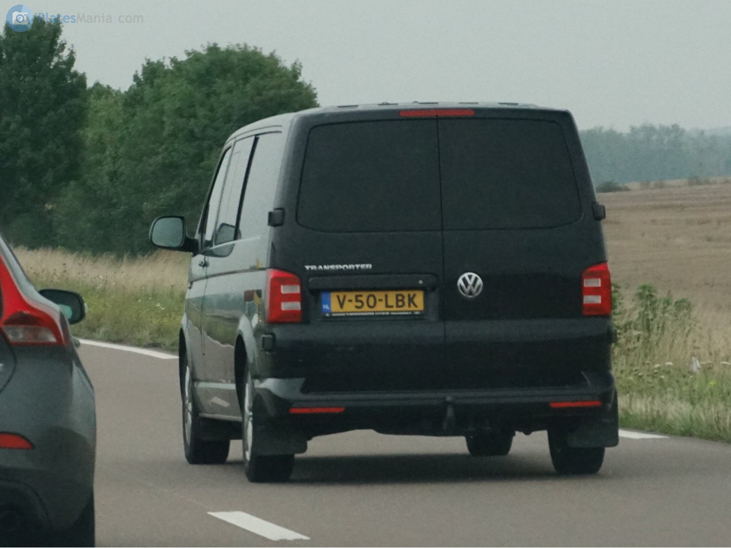 V-50-LBK, Volkswagen Transporter 6th gen Van (T6) (SG), 2015–2019