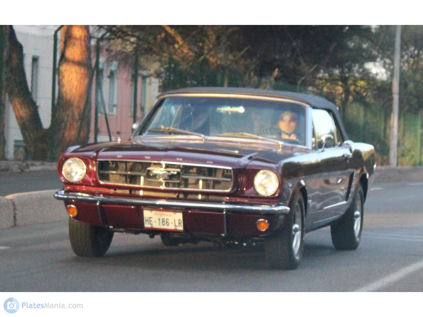 HE-186-LR, Ford Mustang 1st gen 2-door Convertible (76), 1964–1970