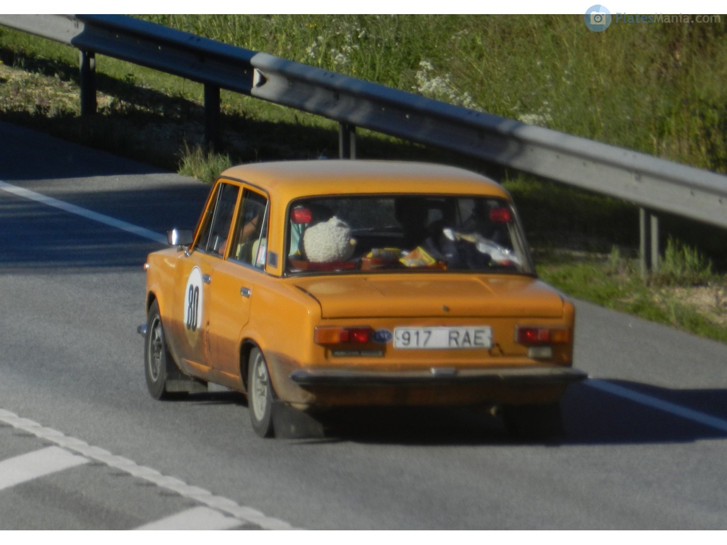 917 RAE, Lada (VAZ) 2101 21011/21013, 1974–1988