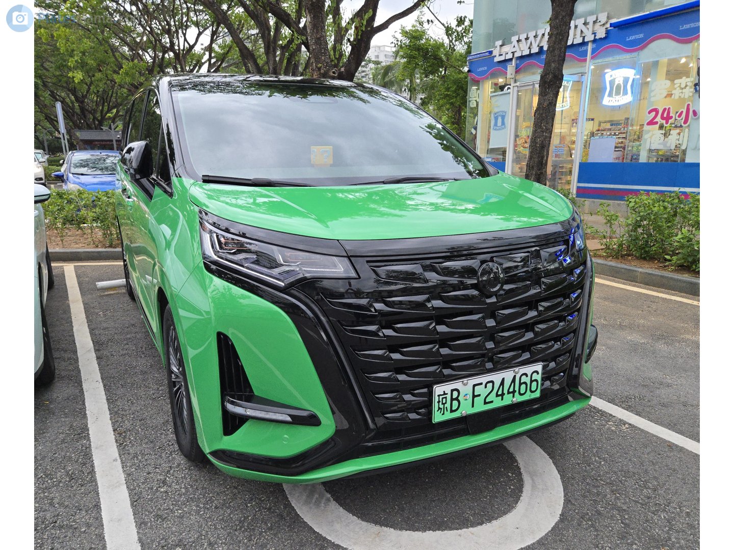 琼B·F24466, Denza (Tengshi) D9 