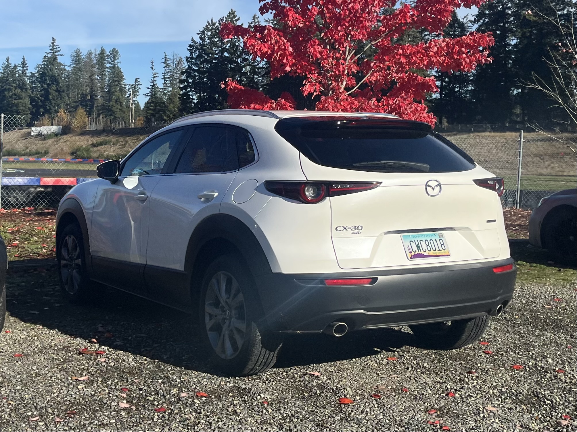 CWC8018, Mazda CX-30 1st gen (DM), 2019–