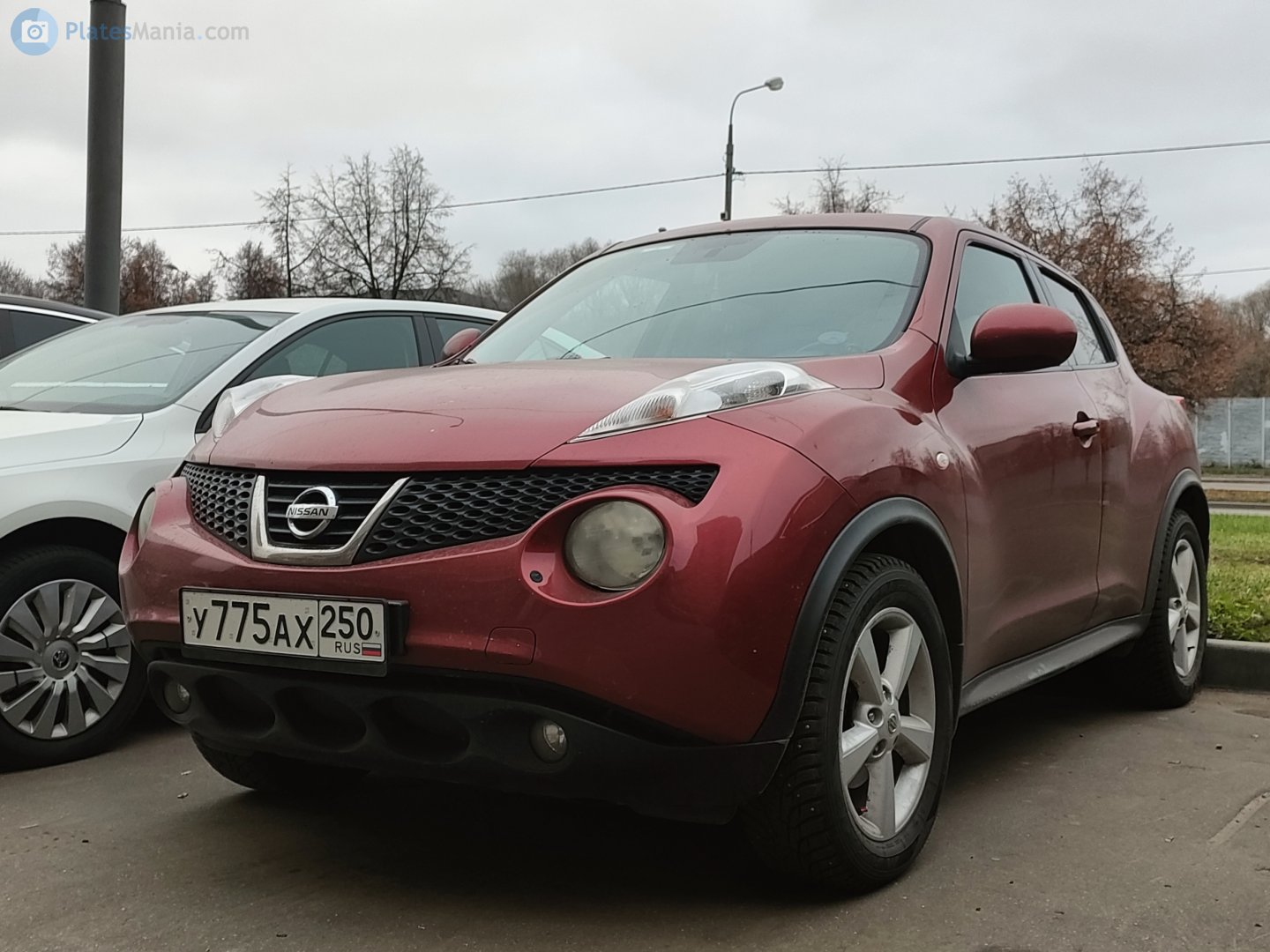 у 775 ах 250, Nissan Juke 1st gen (F15), 2010–2014