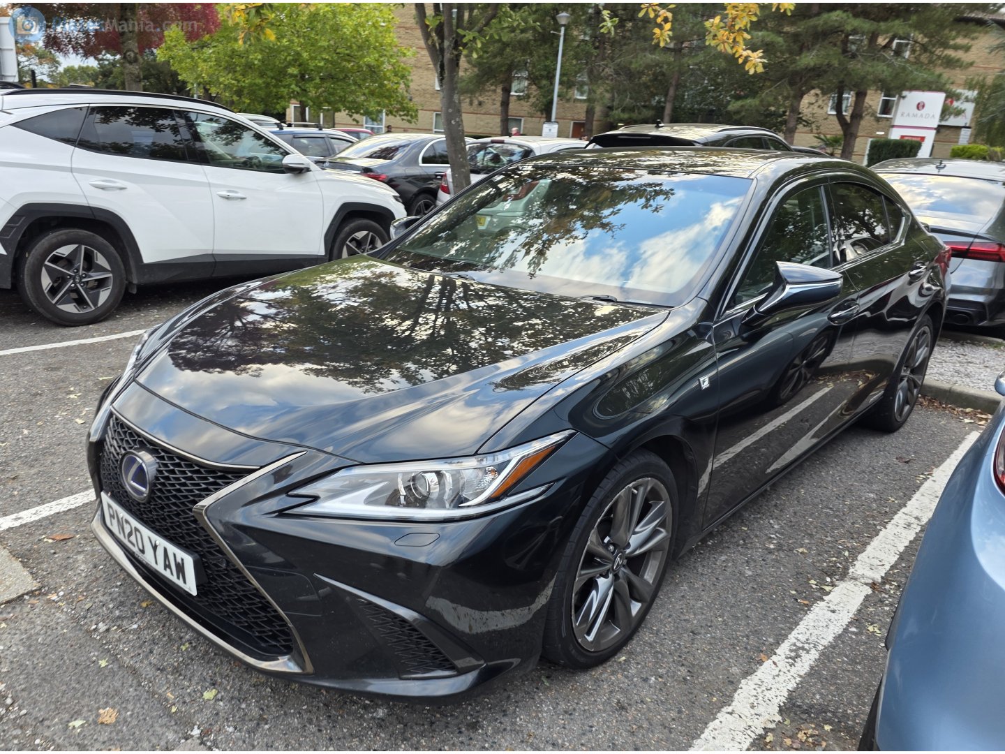 PN20YAW, Lexus ES 7th gen (XZ10), 2018–
