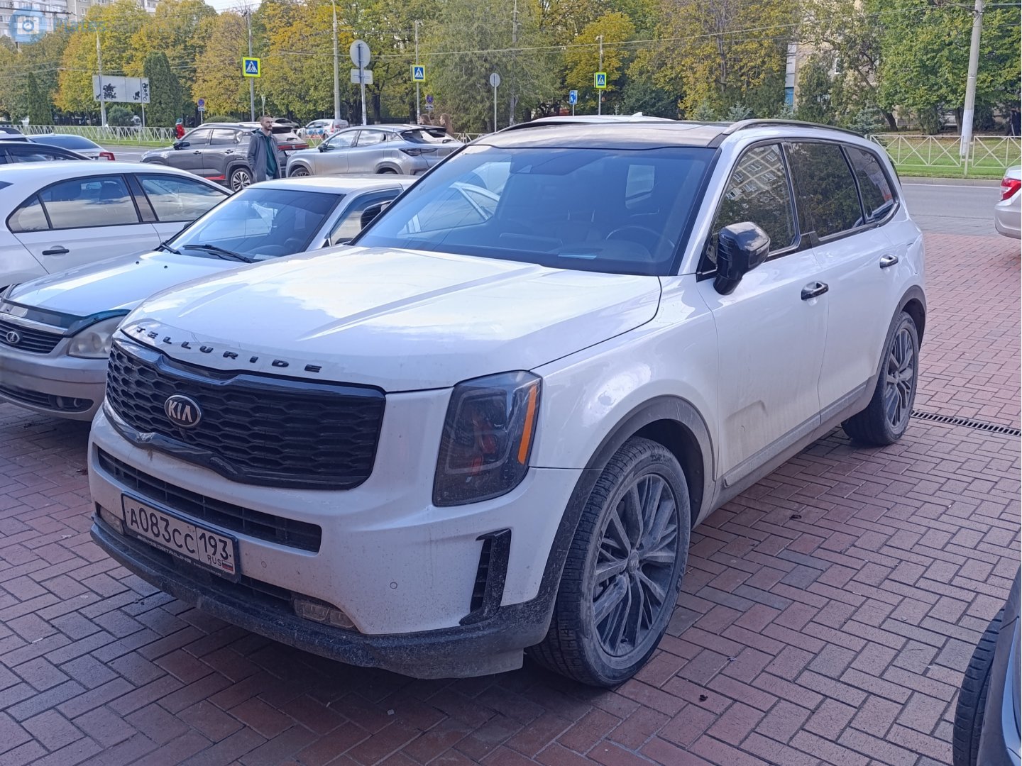 а 083 сс 193, Kia Telluride 1st gen (ON), 2019–2022