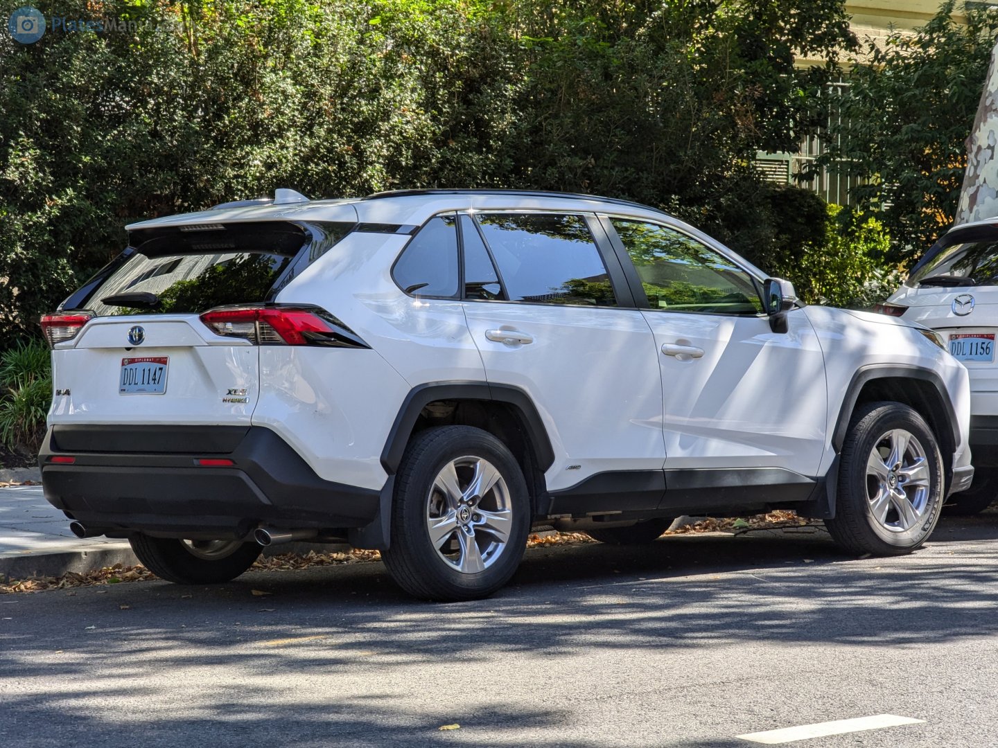 DDL 1147, Toyota RAV4 5th gen (XA50), 2018–
