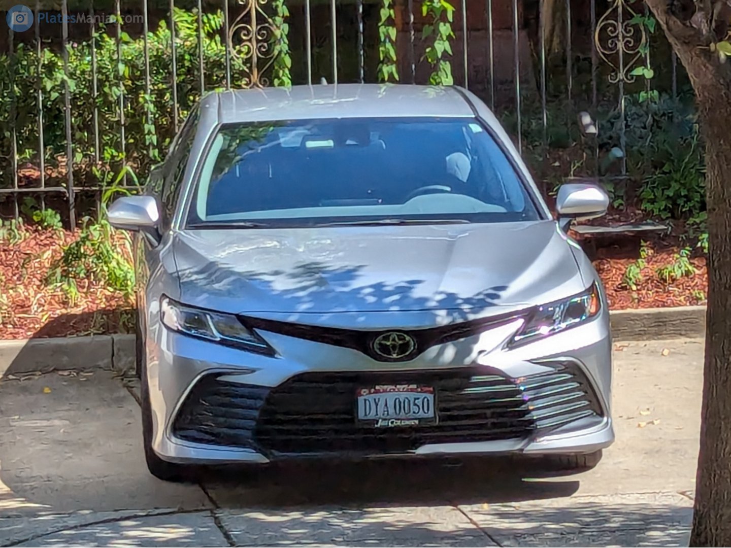 DYA 0050, Toyota Camry 8th gen (XV70), 2017–