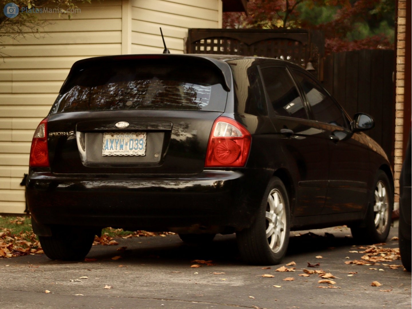 AXYW-039, Kia Spectra 2nd gen 5 Hatch (LD; American-market), 2004–2006