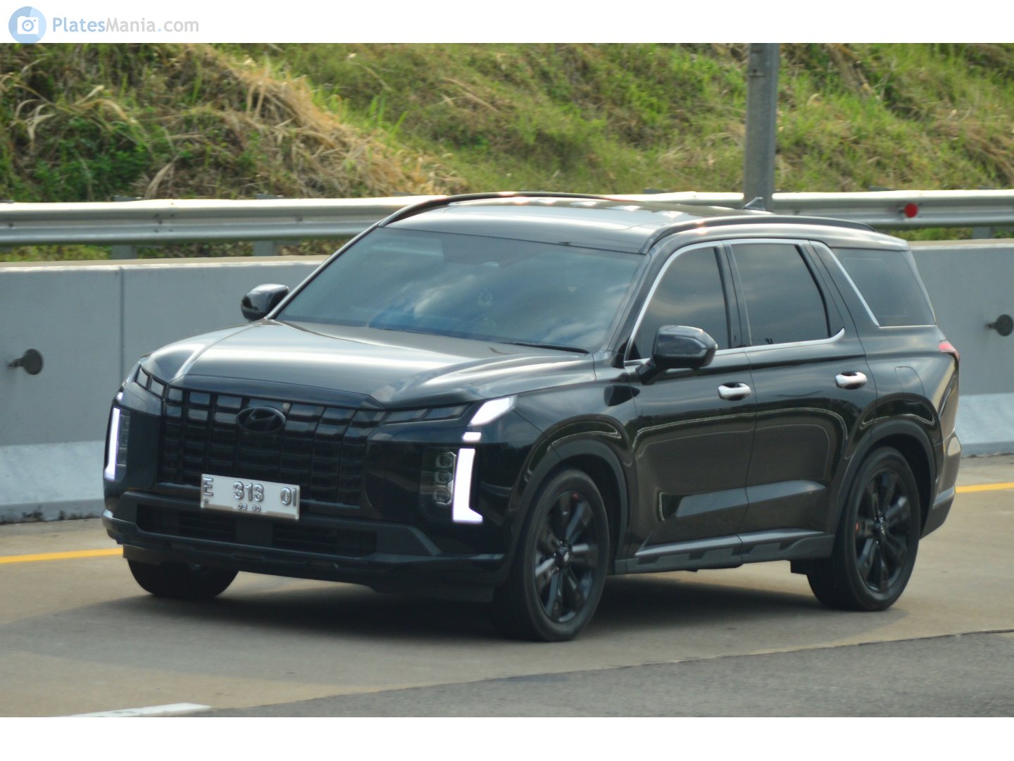 E 313 OI, Hyundai Palisade 1st gen (LX2), facelift, 2022–