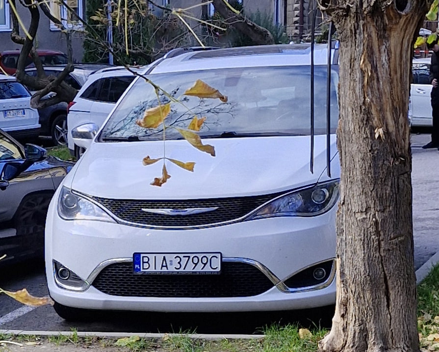 BIA 3799C, Chrysler Pacifica 2nd gen Minivan (RU), 2016–2020