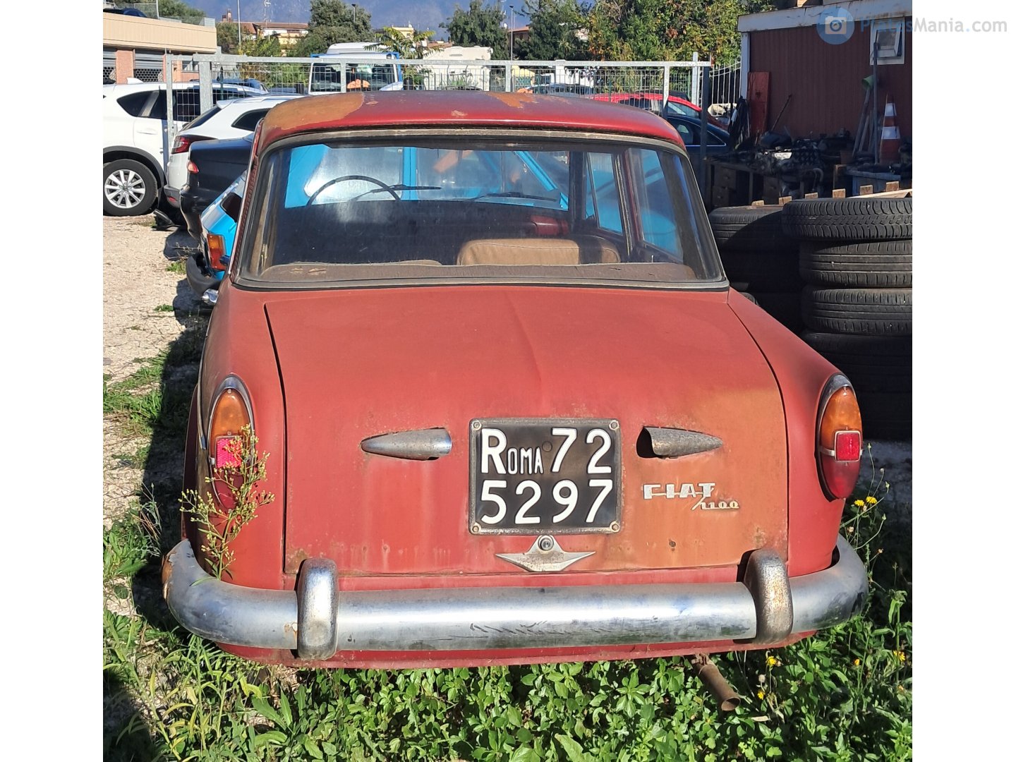 Roma 725297, FIAT 1100 