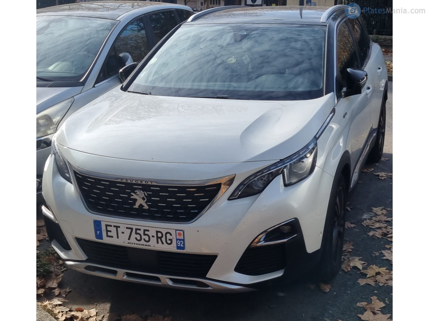 ET-755-RG, Peugeot 3008 2nd gen (P84), 2016–2020