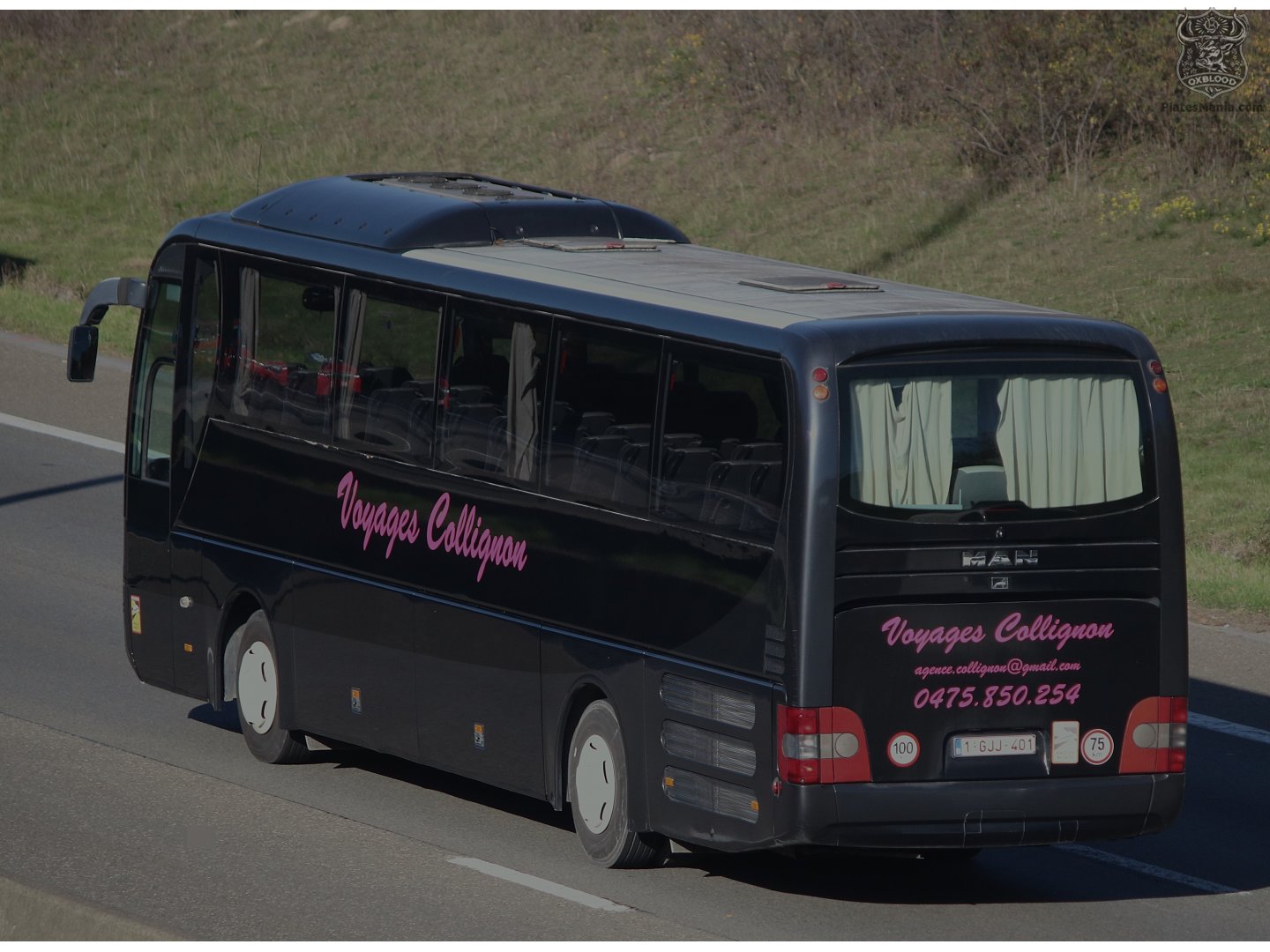 1-GJJ-401, MAN Lion's Coach 2nd gen, 2002–2017