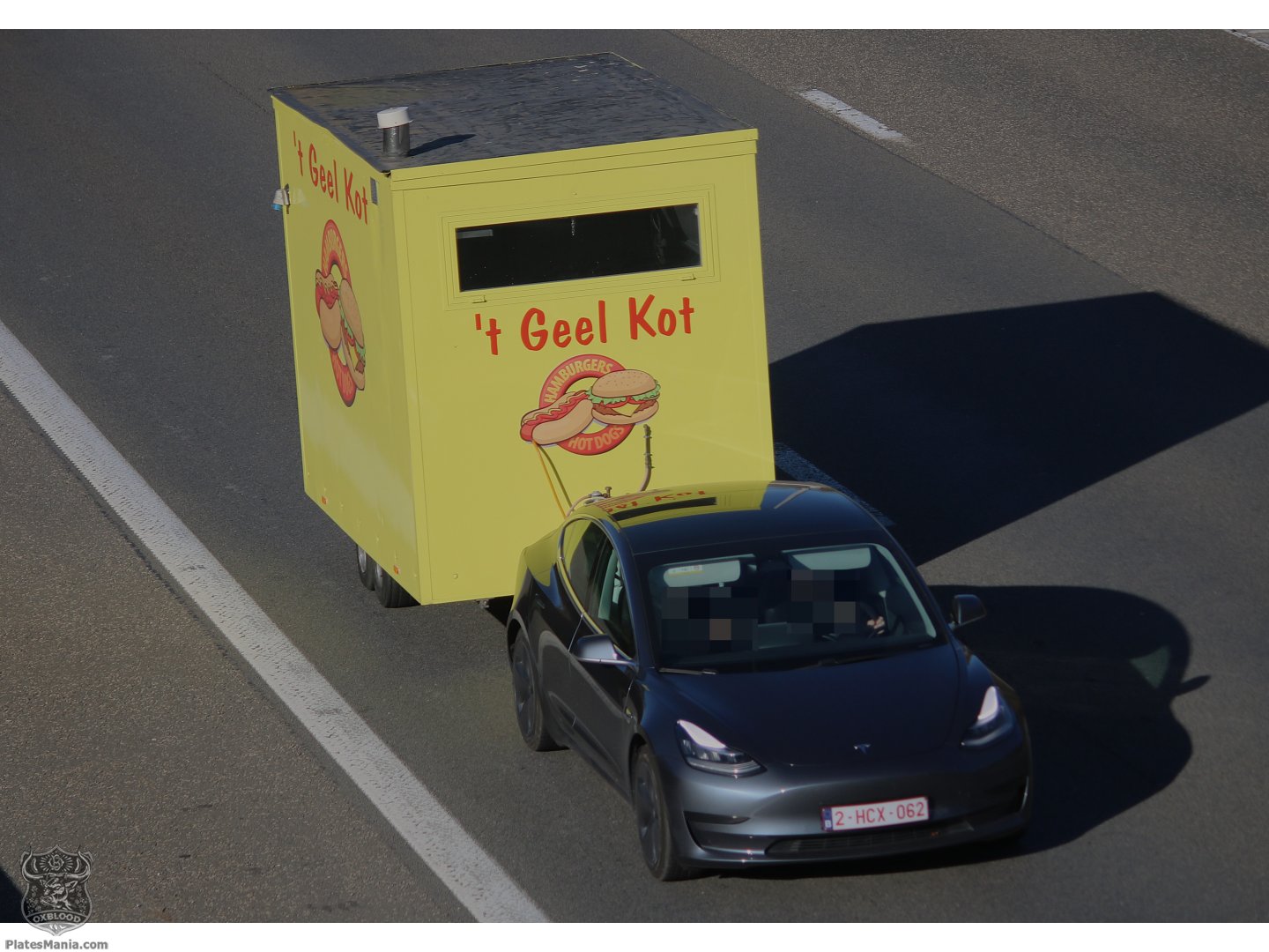 2-HCX-062, Tesla Model 3 1st gen (5YJ3), 2017–2023