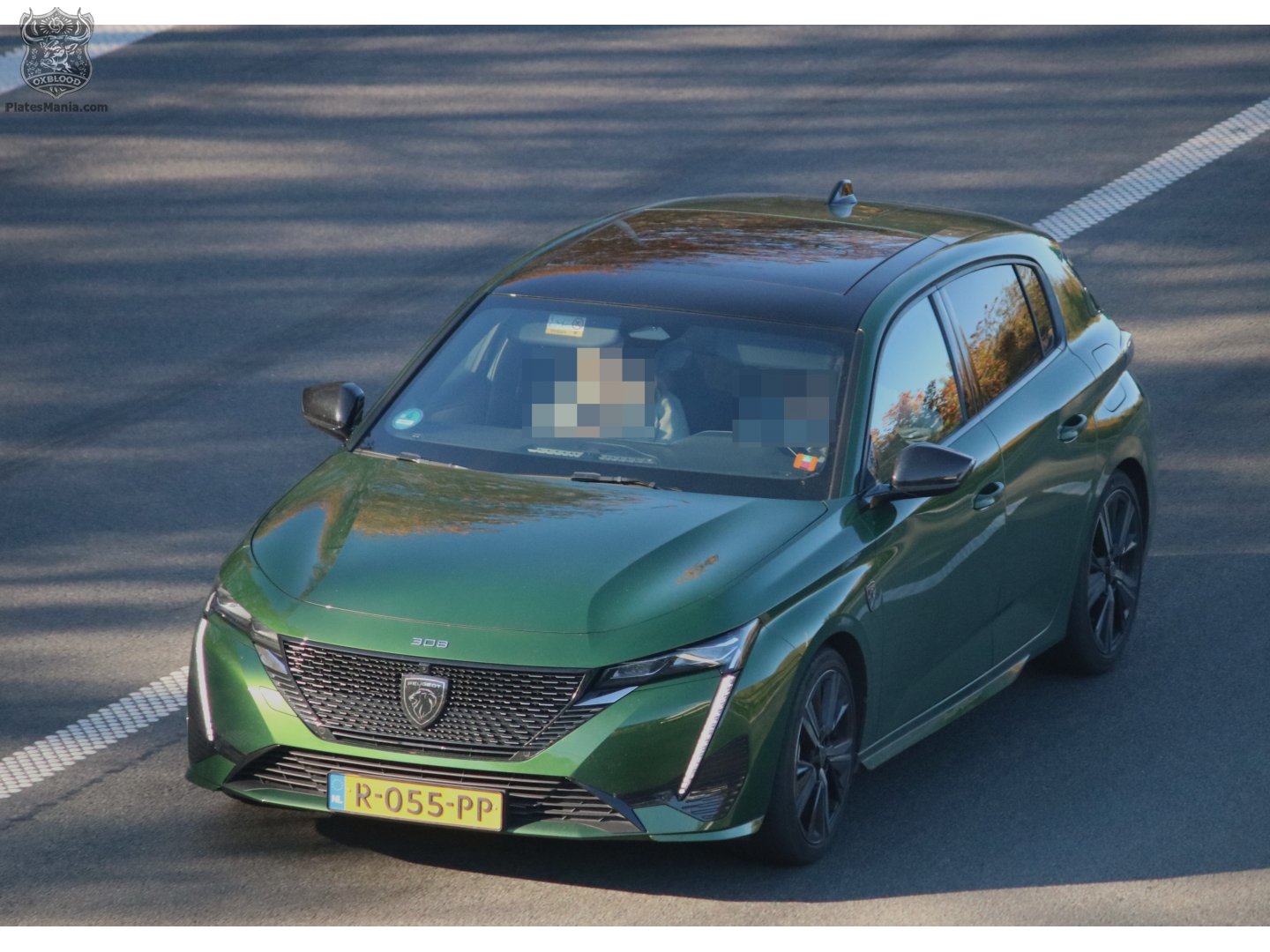 R-055-PP, Peugeot 308 3rd gen Hatch (P5 / E-308), 2021–