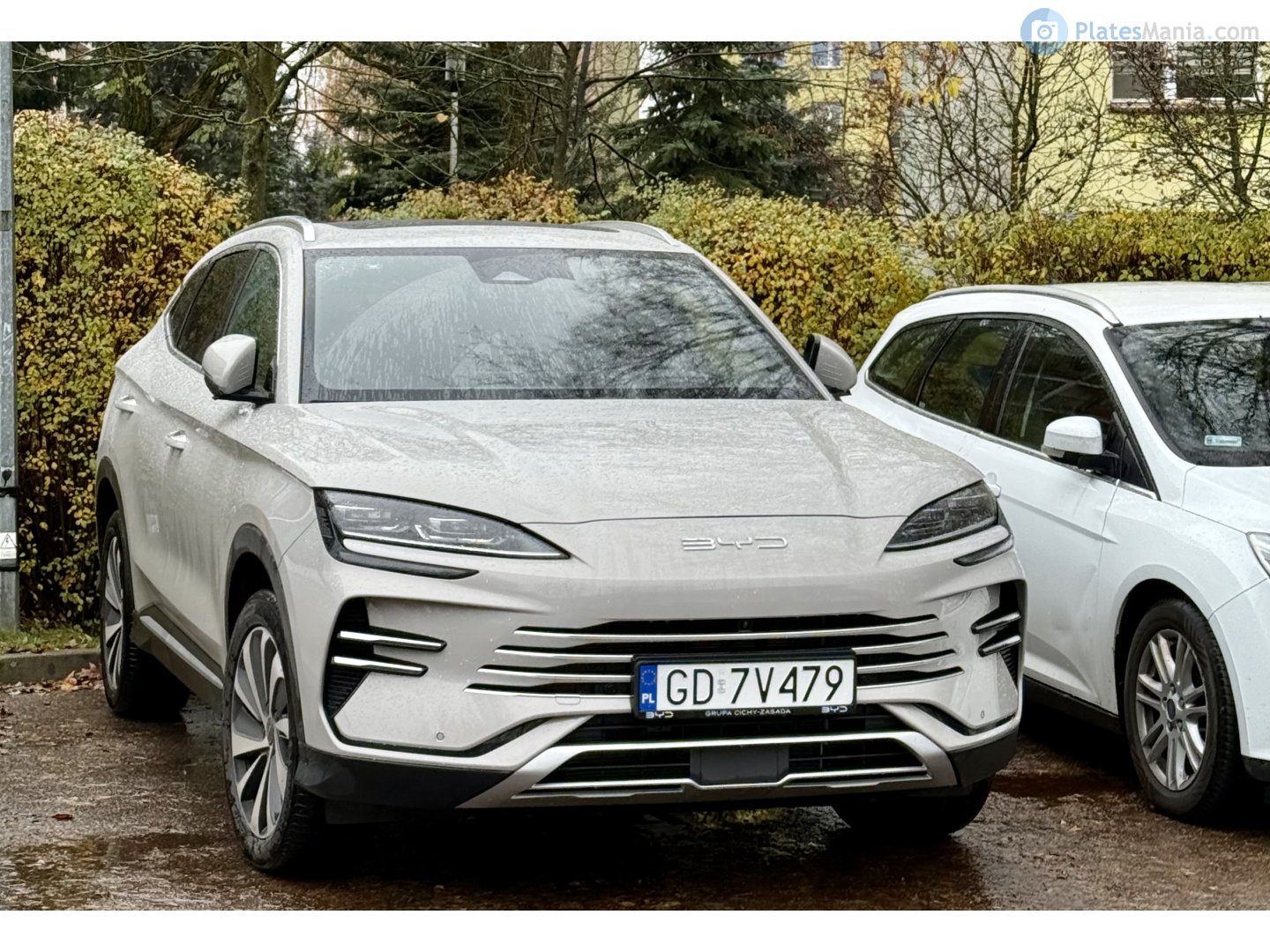 GD 7V479, BYD Sealion 6 / Seal U 1st gen, 2023–