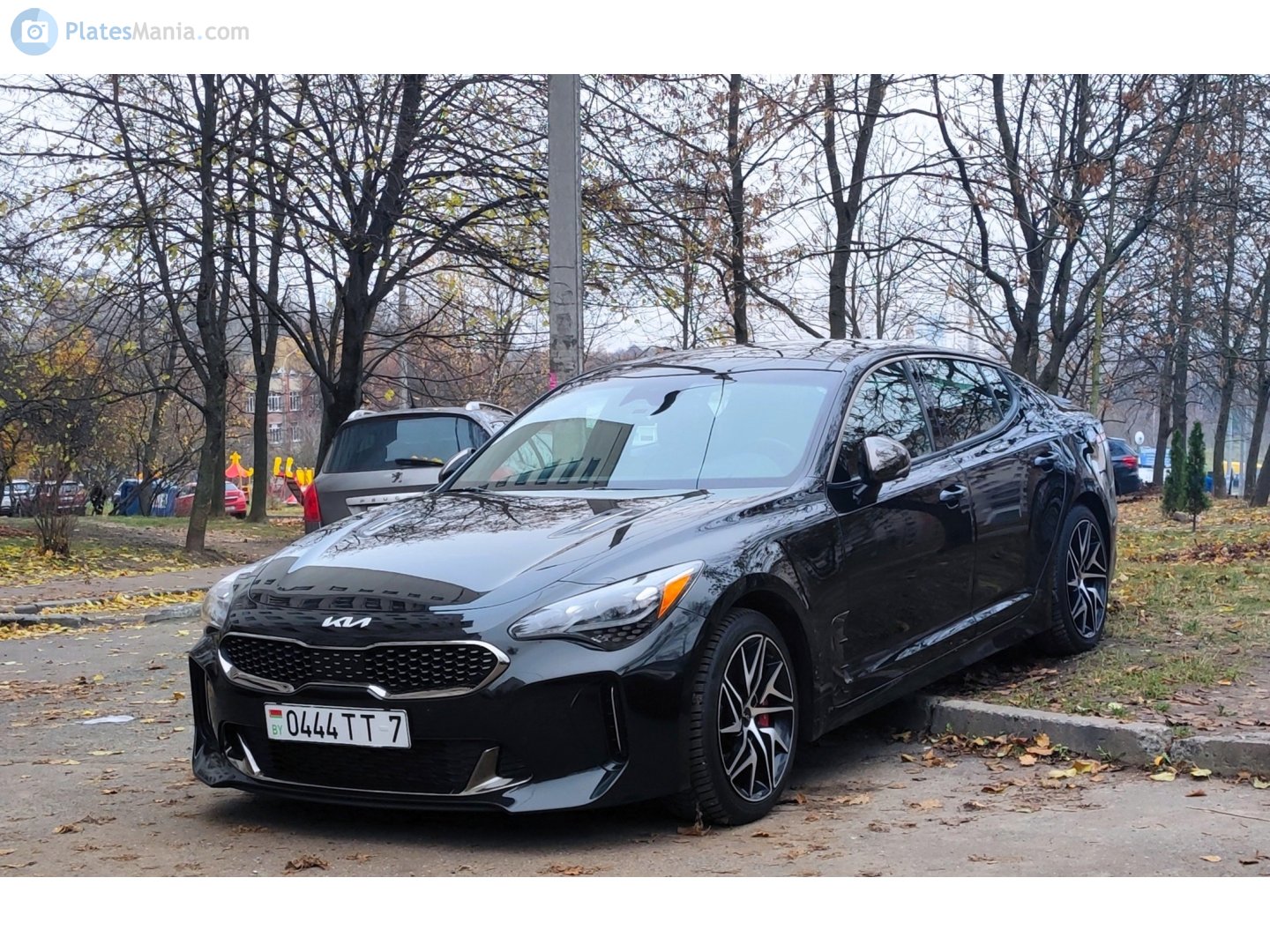 0444 TT-7, Kia Stinger 1st gen (CK), 2017–2023